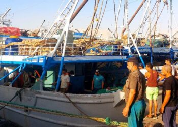 الثروة السمكية : تعلن إنطلاق موسم الصيد ٢٠٢٤ في خليج السويس بعد توقف ٤ اشهر