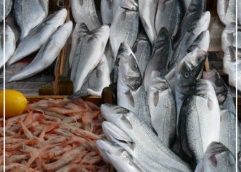 أسعار السمك