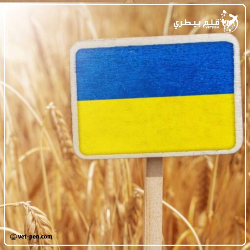 بينهم 381.8 ألف طن فول صويا.. أوكرانيا تحصد 33 مليون طن من الحبوب والبذور الزيتية