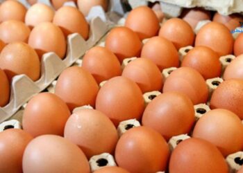 "إبراهيم البنا و خالد حمزة و محمد رشاد حمزة " أهم 3 شركات موردين أطباق البيض لمنافذ التموين