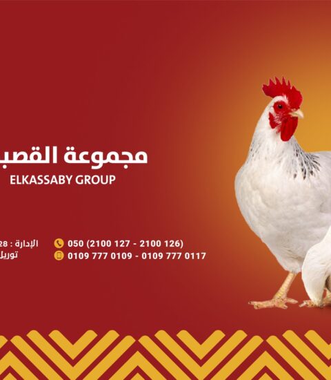 مجموعة القصبي تعلن عن احتياجها إلى وظيفة "مدير مزرعة أمهات ومهندسين مساعدين "