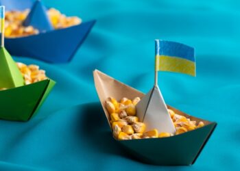 صادرات الذرة الأوكرانية