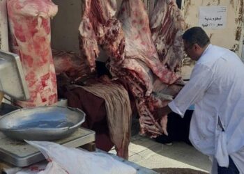 "الزراعة" تطلق ٧ منافذ متنقلة لبيع منتجات اللحوم والبيض والألبان بأسعار مخفضة 25%