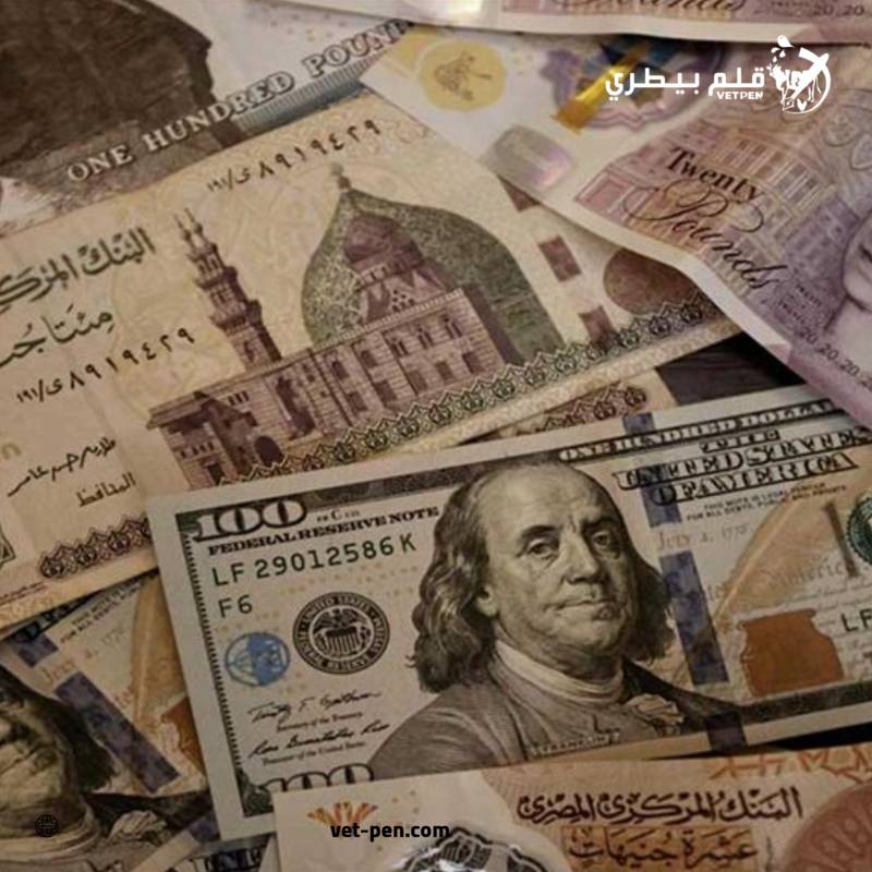 سعر الدولار والعملات العربية والأجنبية اليوم الخميس 10- 10- 2024