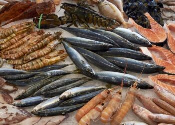 أسعار السمك اليوم الخميس بسوق العبور للجملة