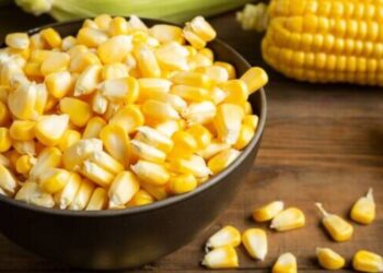 عقود الذرة تحقق مكاسب طفيفة بنهاية جلسة الأربعاء