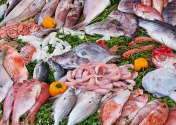 أسعار السمك اليوم السبت بسوق العبور للجملة