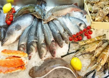 أسعار السمك اليوم الأربعاء بسوق العبور للجملة