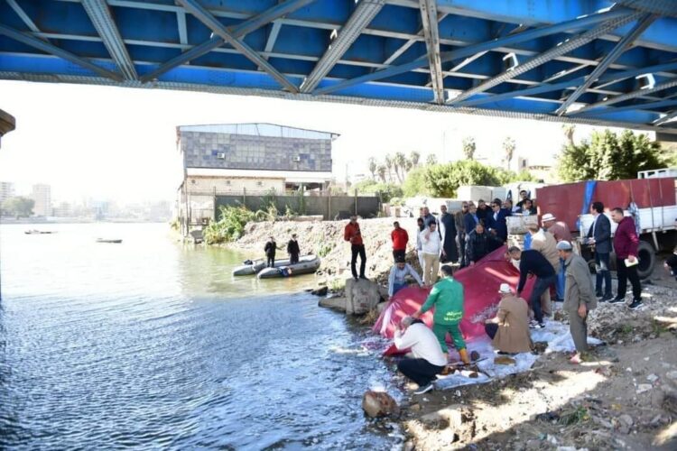 تنمية البحيرات: إلقاء مليون وحدة زريعة بلطى في مياه نهر النيل بمدينة المنصورة