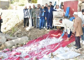 تنمية البحيرات: إلقاء مليون وحدة زريعة بلطى في مياه نهر النيل بمدينة المنصورة