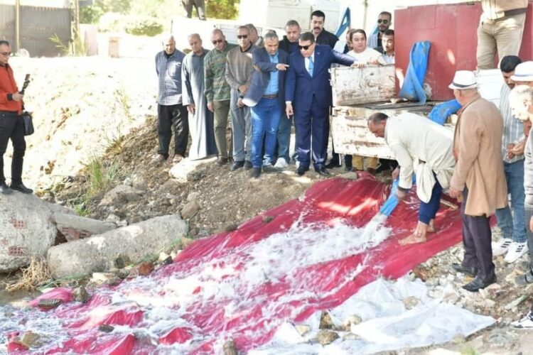 تنمية البحيرات: إلقاء مليون وحدة زريعة بلطى في مياه نهر النيل بمدينة المنصورة