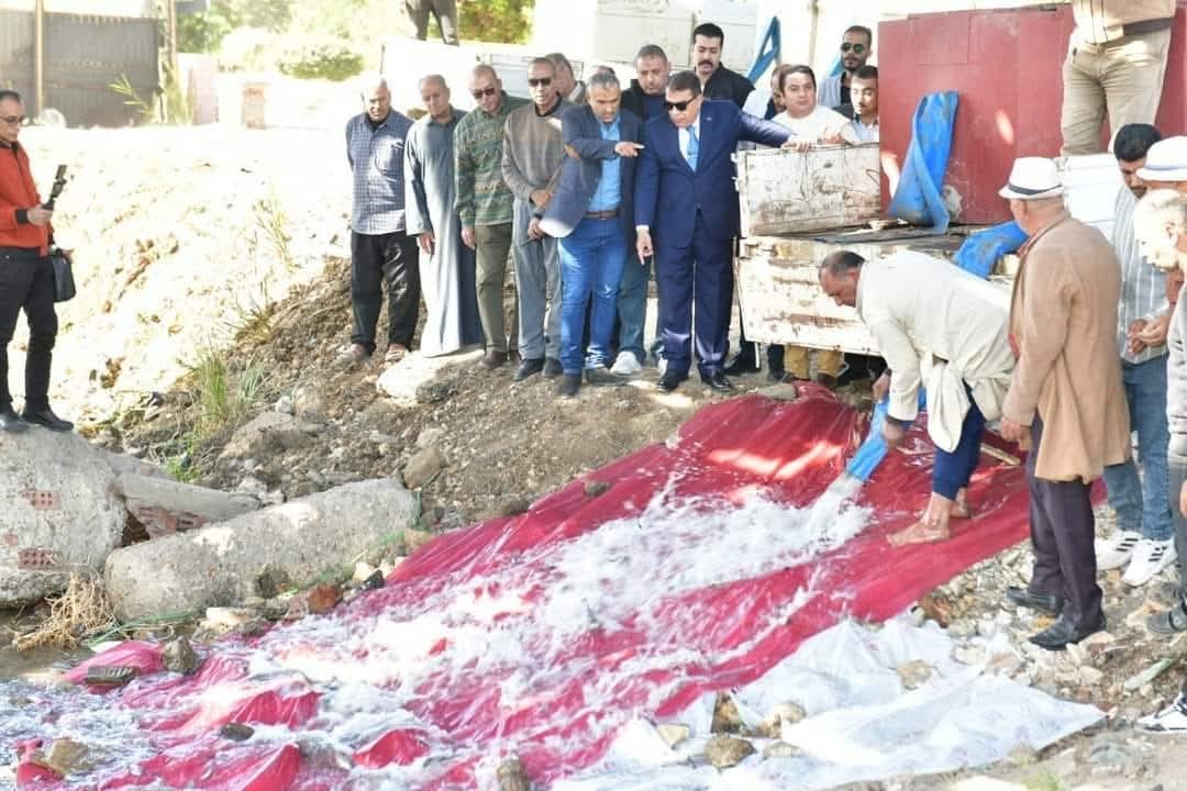 تنمية البحيرات: إلقاء مليون وحدة زريعة بلطى في مياه نهر النيل بمدينة المنصورة