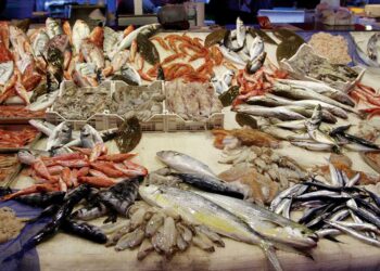 أسعار السمك