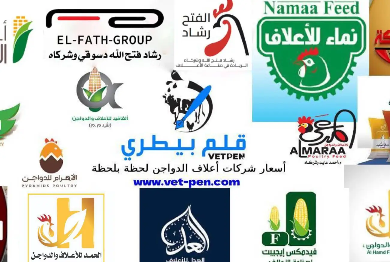 أسعار شركات أعلاف الدواجن