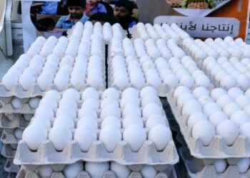 البيض التركي