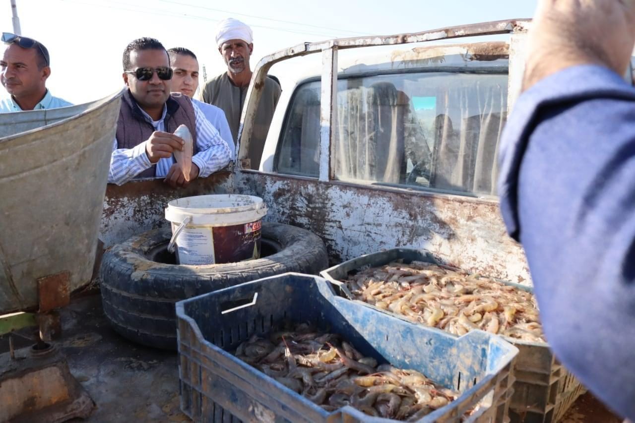 بحيرة قارون