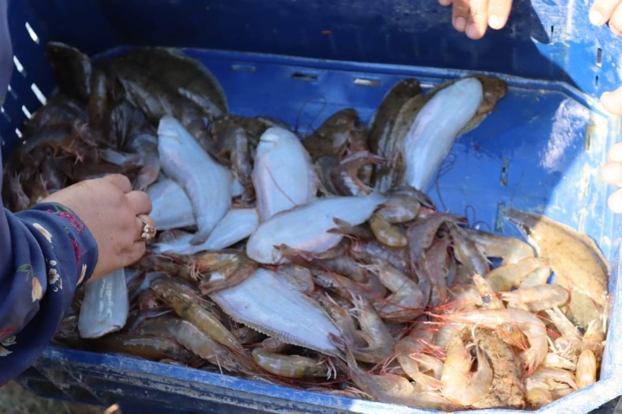 بحيرة قارون