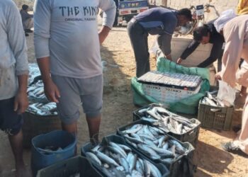 بحيرة قارون