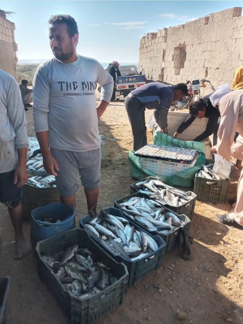 بحيرة قارون