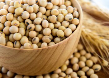 عقود فول الصويا