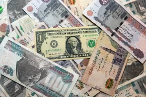 سعر الدولار