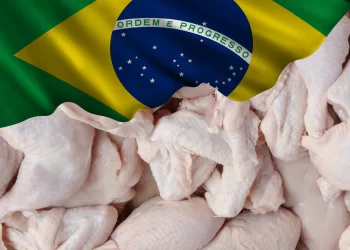 صادرات الدواجن البرازيلية