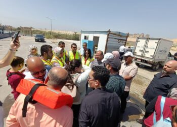 بعد توقف دام أكثر من 3 سنوات.. الاتحاد الأوروبي يفتح أسواقه أمام الأسماك المصرية