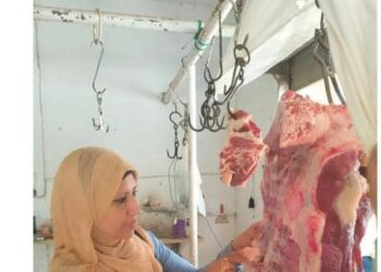 «بيطري شمال سيناء» يستعرض جهوده في الحفاظ على الثروة الحيوانية