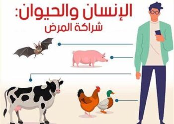 الإنسان والحيوان