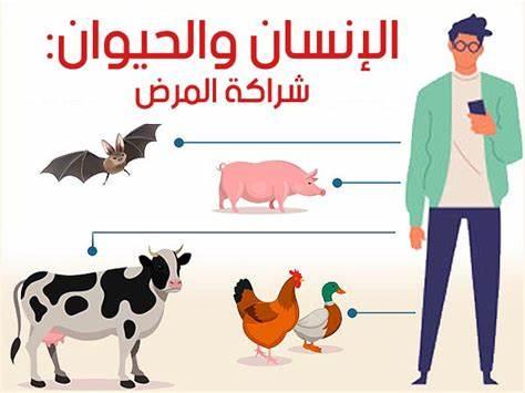 الأمراض المشترك بين الإنسان والحيوان 