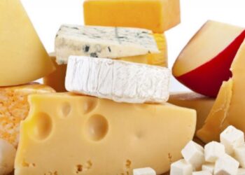 الجبن القريش والرومي