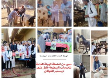 الزراعة تستعرض حصاد وأنشطة الخدمات البيطرية في التحصين والقوافل وحملات التفتيش خلال ديسمبر 2024