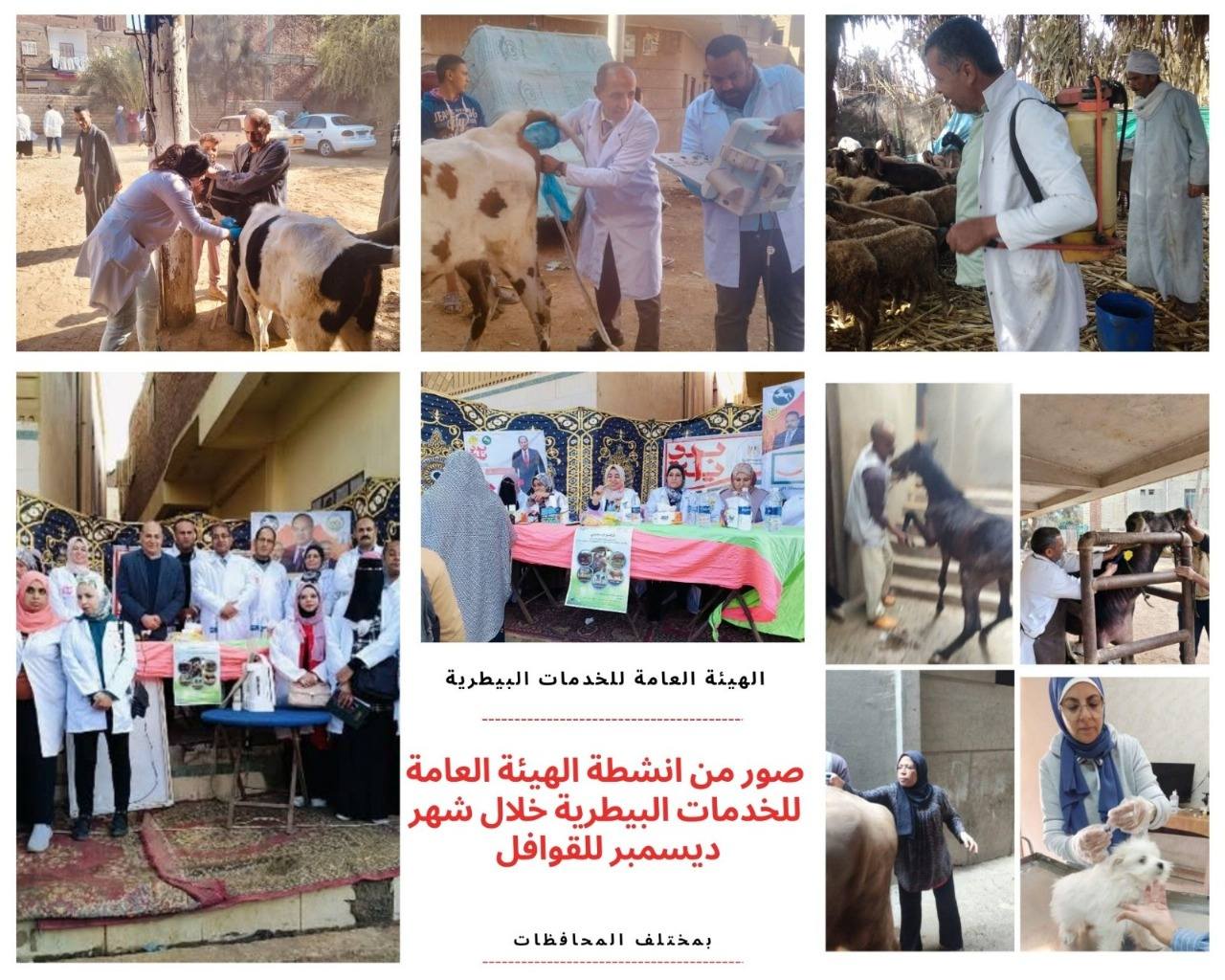 الزراعة تستعرض حصاد وأنشطة الخدمات البيطرية في التحصين والقوافل وحملات التفتيش خلال ديسمبر 2024