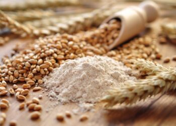 مستقبل مصر تتسلم أول شحنة قمح مستوردة