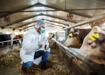 مصر تستهدف تحقيق الاكتفاء الذاتى في مجال اللقاحات البيطرية