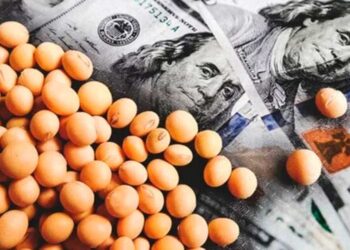 انخفاض المعالجات يخفض أسعار فول الصويا في الموانئ الأوكرانية