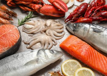 استقرار أسعار السمك اليوم الإثنين في سوق العبور