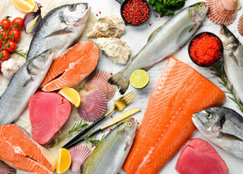 أسعار السمك