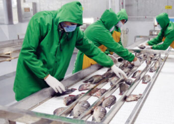 إيطاليا تستقبل أول شحنة أسماك مصرية بعد تطبيق الاشتراطات المطلوبة