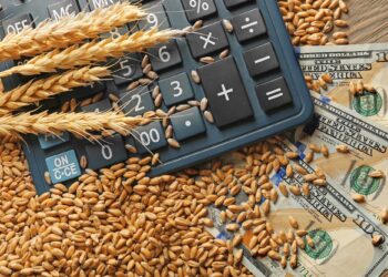 روسيا تخفض الرسوم الجمركية على صادرات الحبوب للفترة من 27 فبراير إلى 5 مارس وسط قوة الروبل