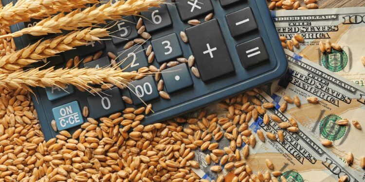 روسيا تخفض الرسوم الجمركية على صادرات الحبوب للفترة من 27 فبراير إلى 5 مارس وسط قوة الروبل
