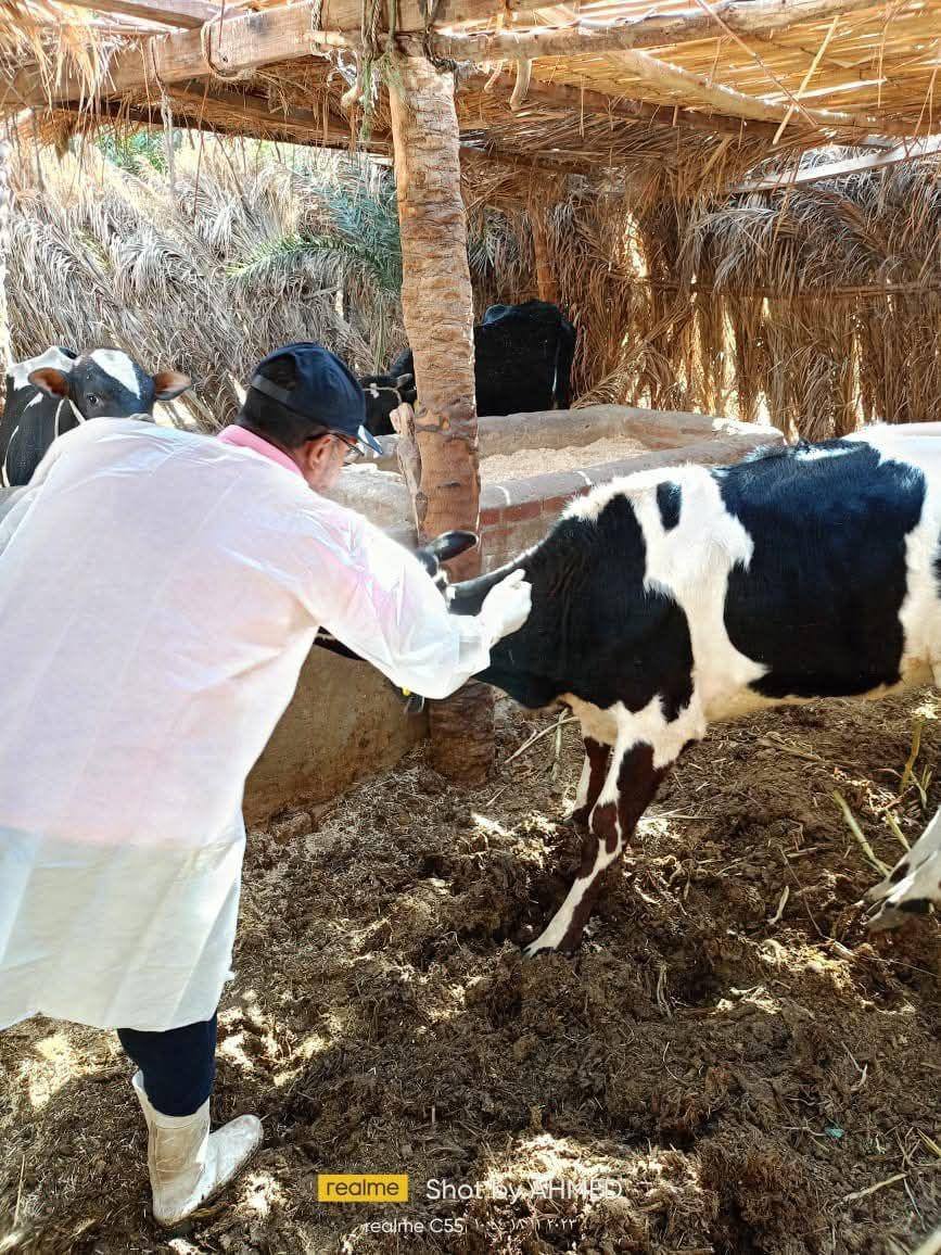 الخدمات البيطرية تستعرض أنشطتها للحفاظ على الثروة الحيوانيّة خلال شهر يناير 