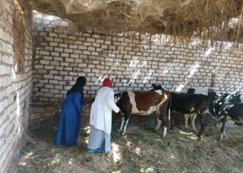 الخدمات البيطرية تستعرض أنشطتها للحفاظ على الثروة الحيوانيّة خلال شهر يناير