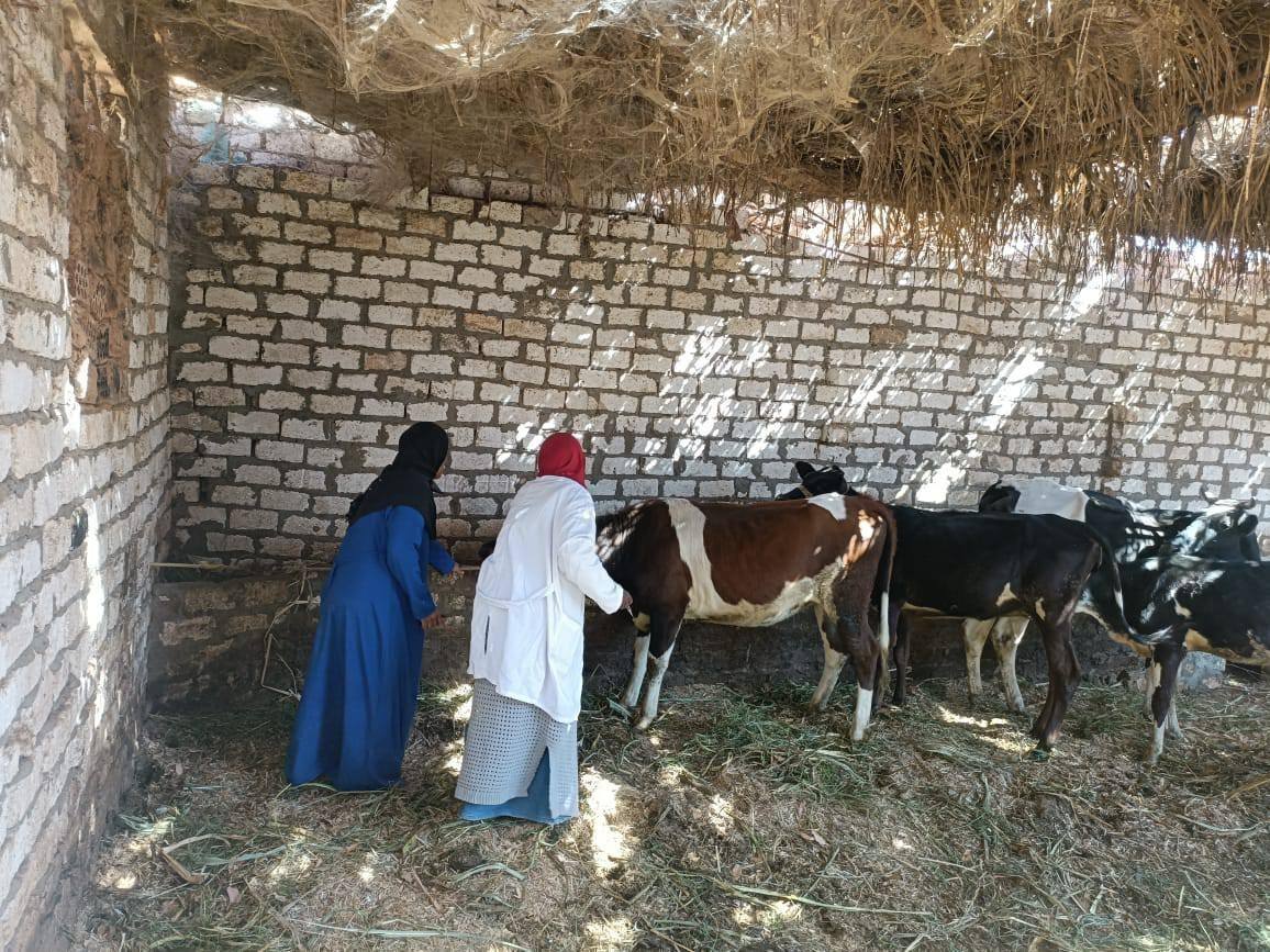 الخدمات البيطرية تستعرض أنشطتها للحفاظ على الثروة الحيوانيّة خلال شهر يناير