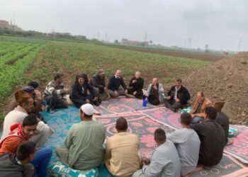 وزارة الزراعة تدعم المزارعين بـ2490 نشاطًا إرشاديًا في يناير
