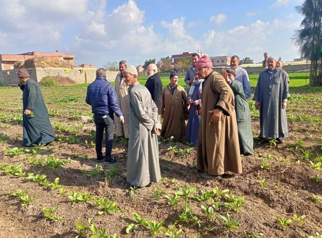 وزارة الزراعة تدعم المزارعين بـ2490 نشاطًا إرشاديًا في يناير
