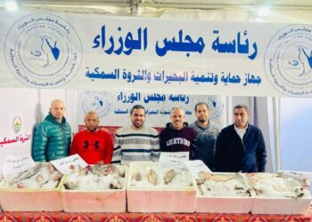 تنمية البحيرات يطرح الأسماك بتخفيضات أكثر من ٣٠٪؜ وكيلو البلطي درجة أولى بـ٦٠ جنيه في معرض "أهلًا رمضان 2025”