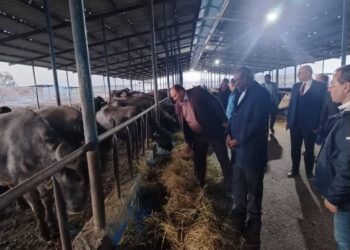 وزيرا الثروة الحيوانية والري في زامبيا يتفقدان مزرعة الإنتاج الحيواني ومركز التلقيح الإصطناعى