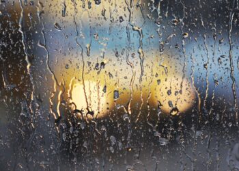 أجواء شتوية بامتياز.. تفاصيل حالة الطقس ودرجات الحرارة المتوقعة اليوم السبت