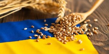 تراجعت صادرات الحبوب الأوكرانية عن أرقام العام الماضي